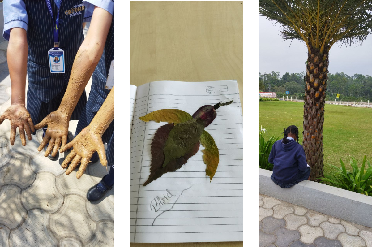 Rethinking School Landscapes Learning Through Lived Experience