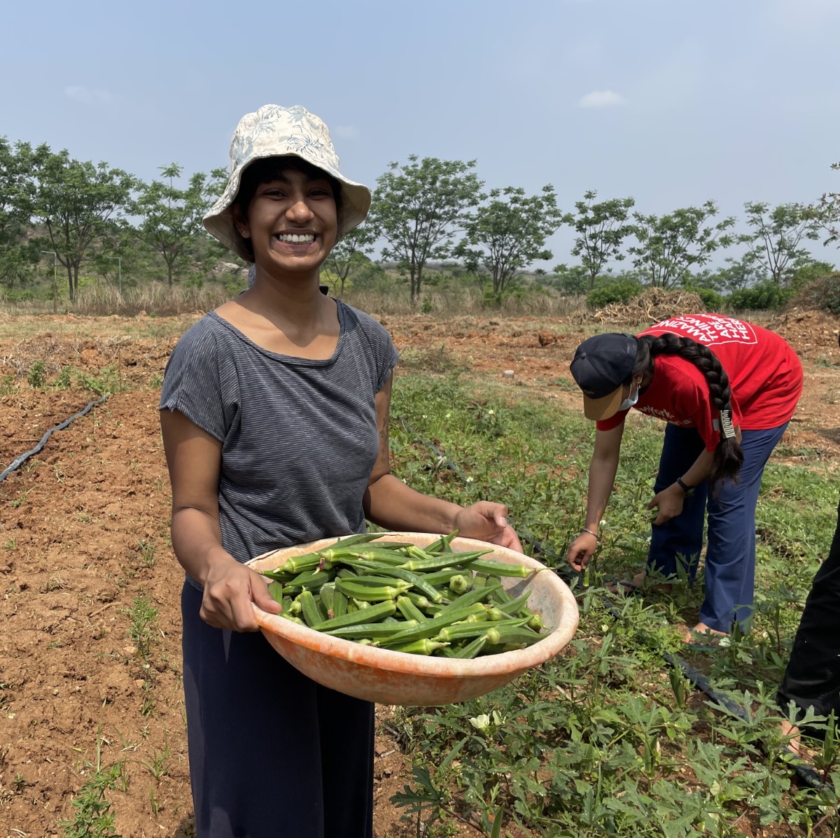 A Slice of Serendipity