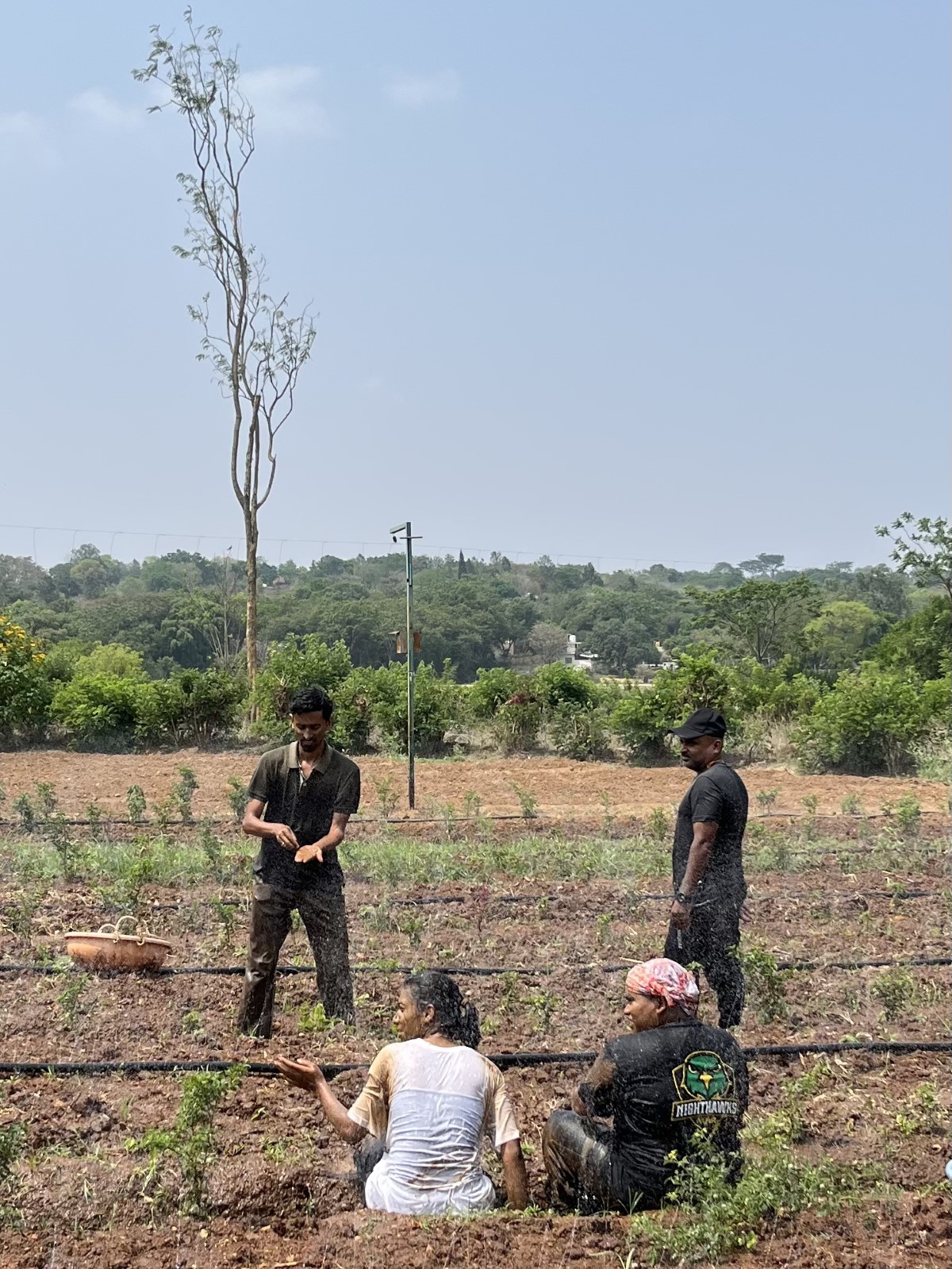 A Slice of Serendipity