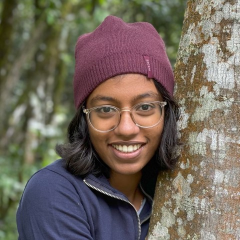 Chandana